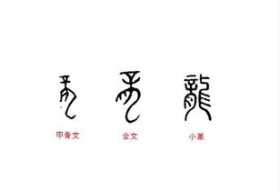 揭秘汉字之美：一笔一划学写'龙'的腾飞笔顺 2