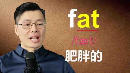 请问'fat'这个英语单词是什么意思？ 1