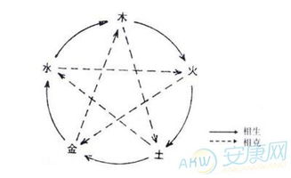 如何迅速推算生辰八字与五行属性 3