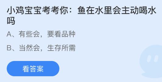 鱼在水里是否会主动喝水？蚂蚁庄园解答 1