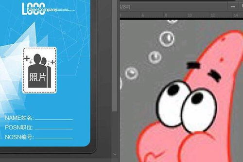利用Photoshop制作工作证的步骤 1