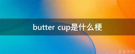 英文单词'cup'是什么意思？ 2