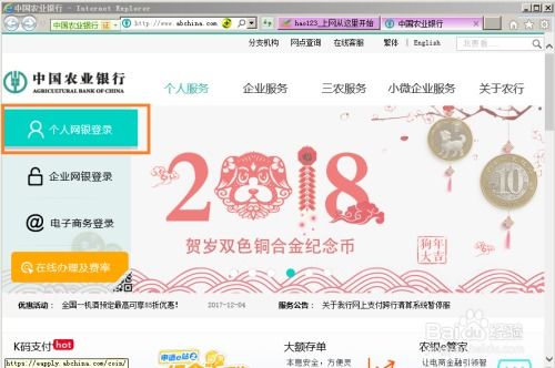 中国农业银行个人网银用户名快捷登录【最新版】 3