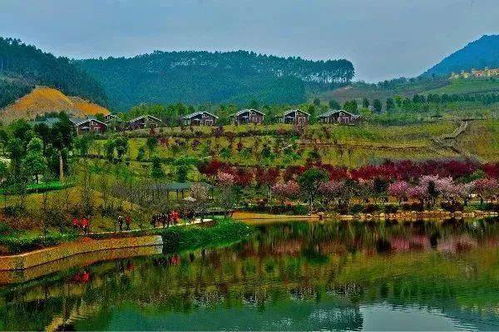 探索十里蓝山的趣味景点 2