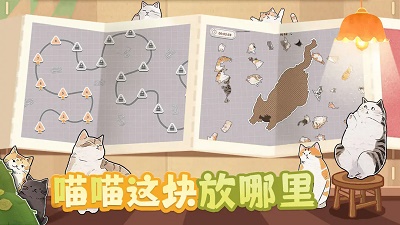 挤在一起的猫猫安卓版