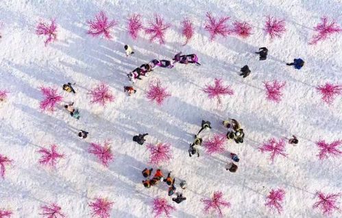 冬奥雪花，创意绘制指南 3