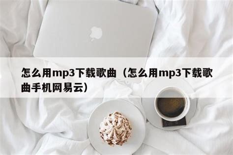 手机歌曲MP3下载方法 2