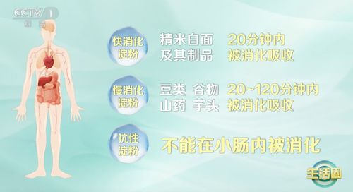 问答式标题：怎样才能过上既健康又有趣的休闲生活？ 3