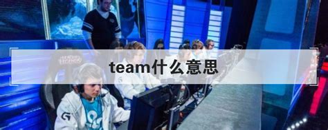 team的含义解析 2