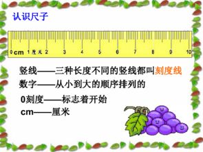 小学二年级尺子测量时应该注意哪些事项？ 1