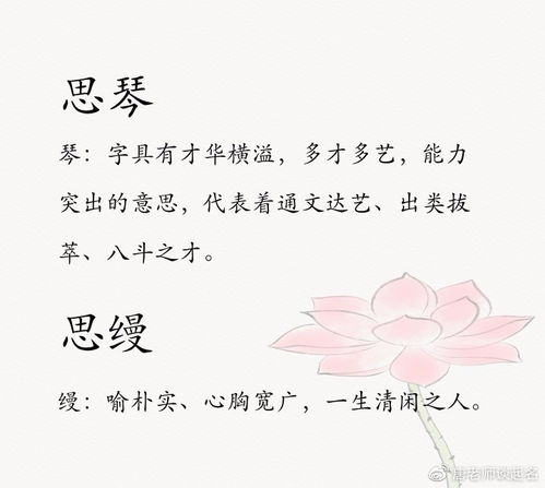 揭秘：以'婉'字为女孩起名，蕴含哪些优雅寓意与美好期望？ 3