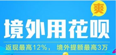 急寻！蚂蚁花呗24小时客服热线号码是多少？一键解决支付疑问！ 2