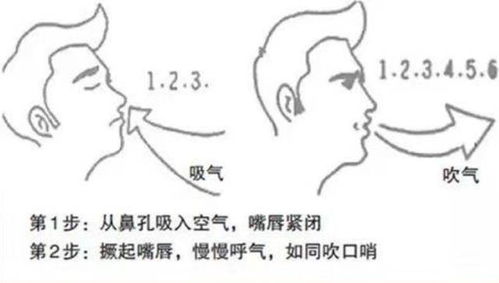 轻松学会：如何用嘴唇吹出悦耳口哨声 4