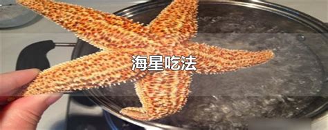 探索海五星的美味奥秘：完美食用指南 4