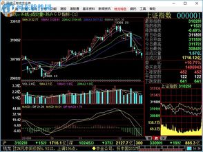 揭秘股票软件智能选股秘籍：一键筛选潜力牛股，轻松驾驭股市风云 1