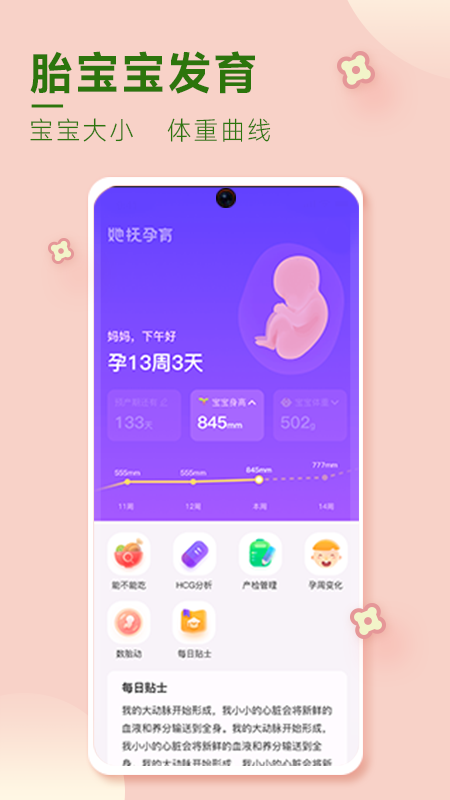 她抚孕育app