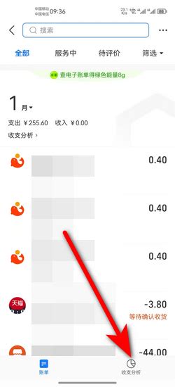 如何查询支付宝年度账单 3
