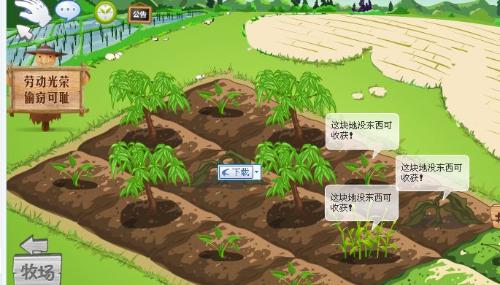 农场无法访问的原因 3