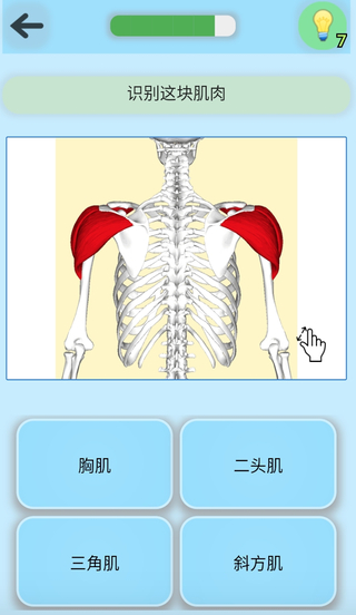 解剖学手游