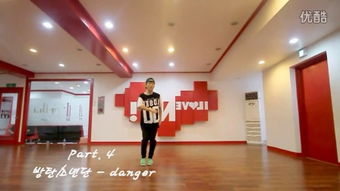 FX Danger 舞蹈教程精讲 1