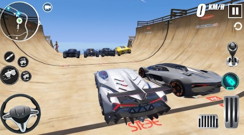 汽车驾驶模拟器赛车3D 1