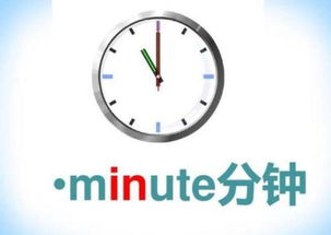 如何正确发音'minutes'？ 1