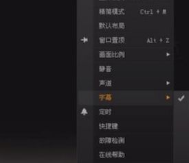 电影字幕轻松配：掌握多字幕下载秘籍 2