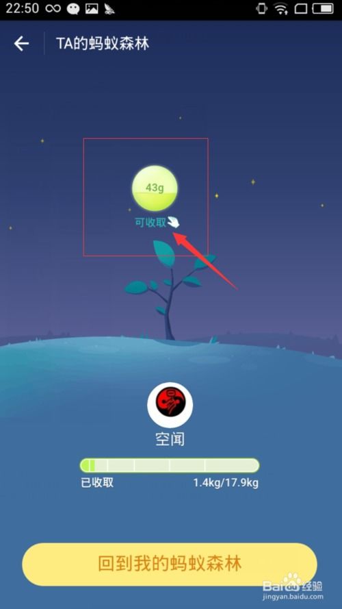 蚂蚁森林如何收取能量？ 1