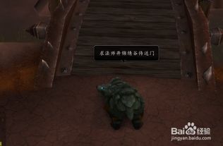 揭秘：魔兽世界部落玩家从奥格瑞玛直达潘达利亚的神秘通道 2