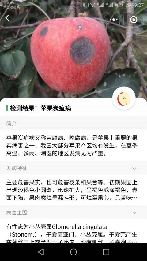 口袋农库