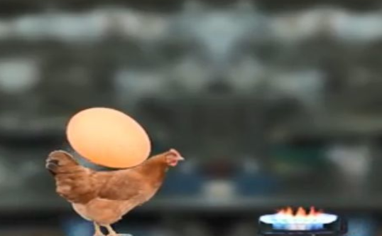 农场偷鸡蛋