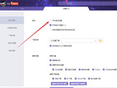 利用迅雷下载BT种子文件的指南 2