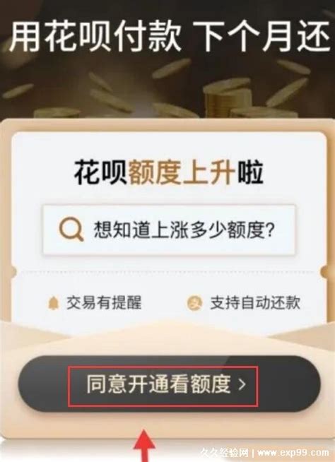 轻松指南：如何快速开通蚂蚁花呗 5