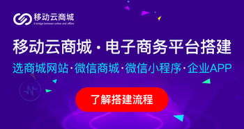 打造爆款！网上商城高效推广策略揭秘 1