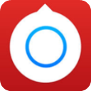 小决定转盘无广告