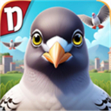 pigeonpop正版