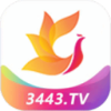 影视工厂tv电视版