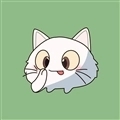 猫印相机app官方正版