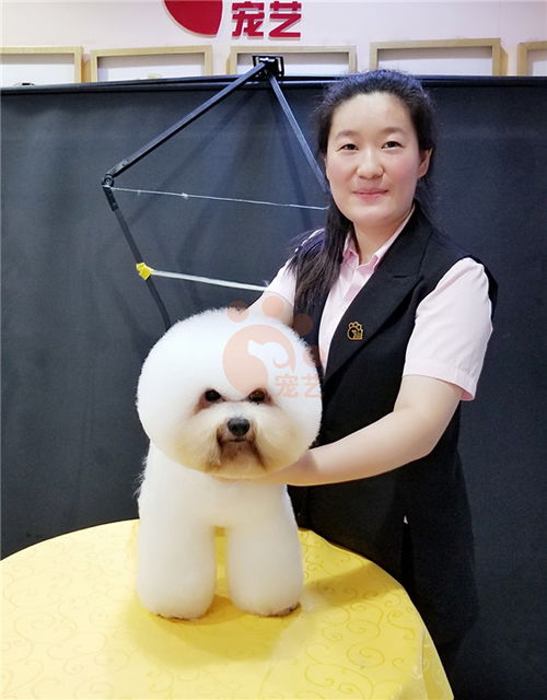 宠物美容师学习需要多久时间？ 2