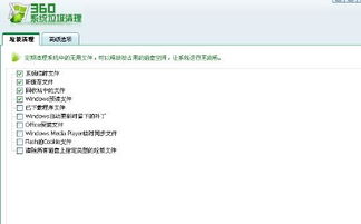如何删除电脑上的Internet临时文件？ 4