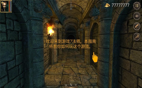 幸存者遗忘的森林中文版