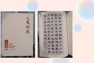书法家：揭秘勤学苦练铸就传奇的动人故事