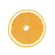 小橙子追剧app免费版本