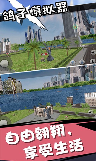 鸽子模拟器正版