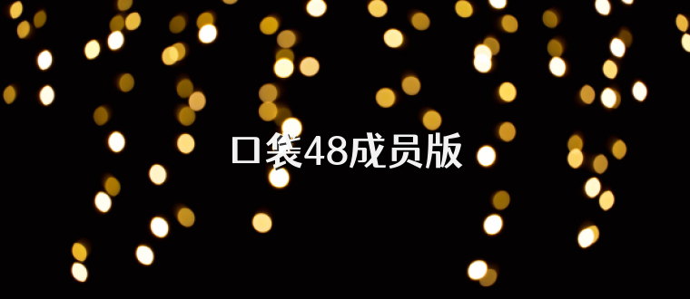 口袋48成员版