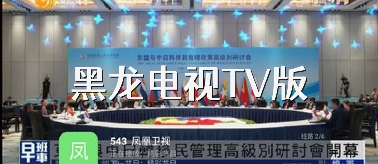 黑龙电视TV版