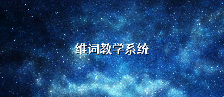 维词教学系统