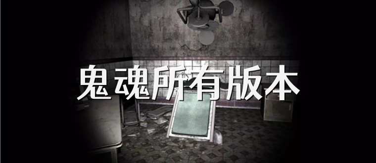 鬼魂所有版本