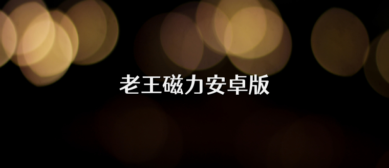 老王磁力安卓版