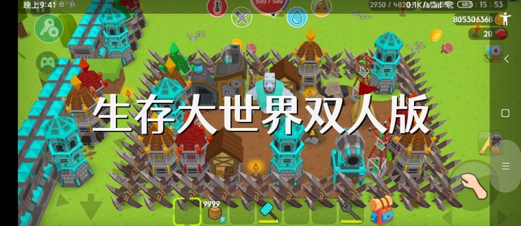 生存大世界双人版